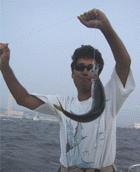 ワカシGET