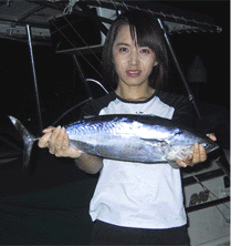 大型ソウダ