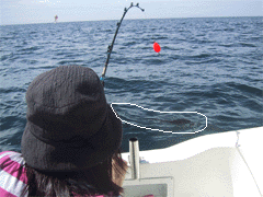 わずかに魚体が見えます