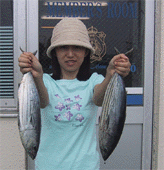 シマシマが眩しい本ガツオ