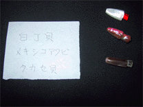 トローリング用ルアーヘッド