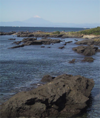 佐島マリーナから見える富士山