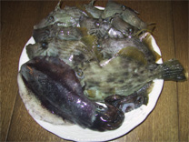 皿の上の釣果