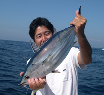 今シーズン初鰹