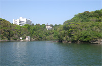 油壺湾