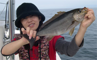 大島のイサキはこんなに大きい