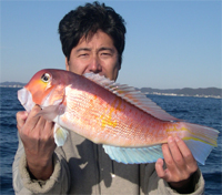 特大アマダイGET