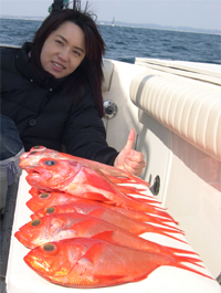 赤い魚