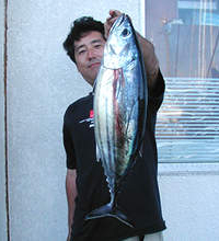 今シーズン初鰹