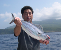 釣りたてです
