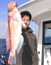 良型のアマダイ43cm