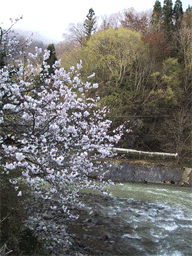 鬼無里村裾花川